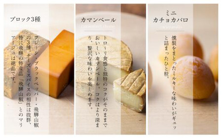 スモークチーズ セット ブロック3種 カマンベール ミニカチョカバロ ( スモークチーズブロック ・ カマンベールチーズ ・ ミニカチョカバロチーズ ) 飛騨高山 TABIBITO KX004