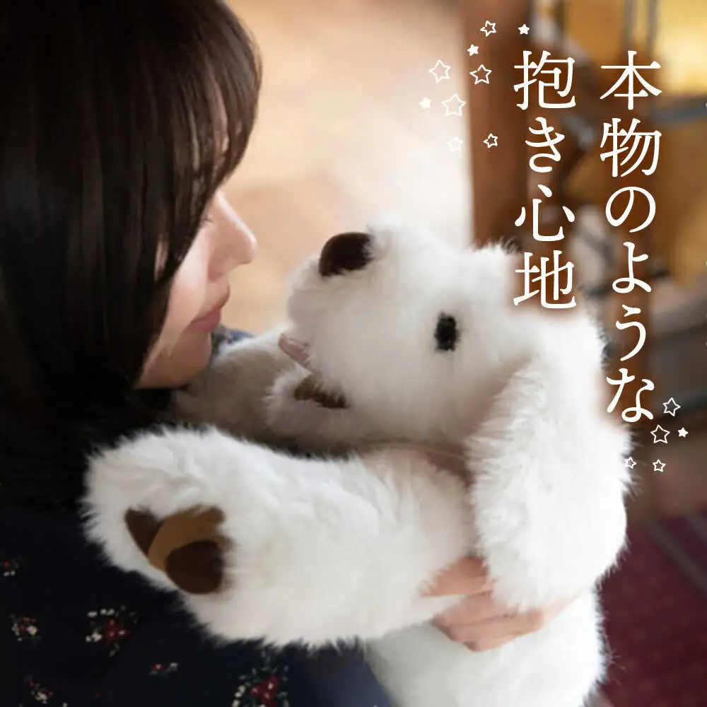 犬型セラピー？！ロボット？パトランの黒（通称：クロラン） 犬 ぬいぐるみ 糸島市 / 科学工房未來 [AYI002]