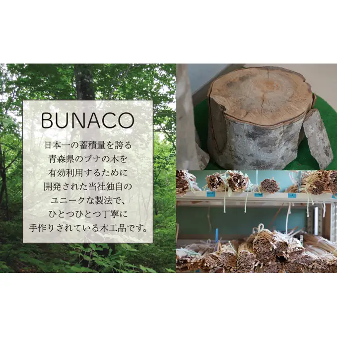 C-6 BUNACO ブナコ製作体験チケット 製造工程 見学 うつわ 自由 職人 塗装 作る入れ物 手作り 