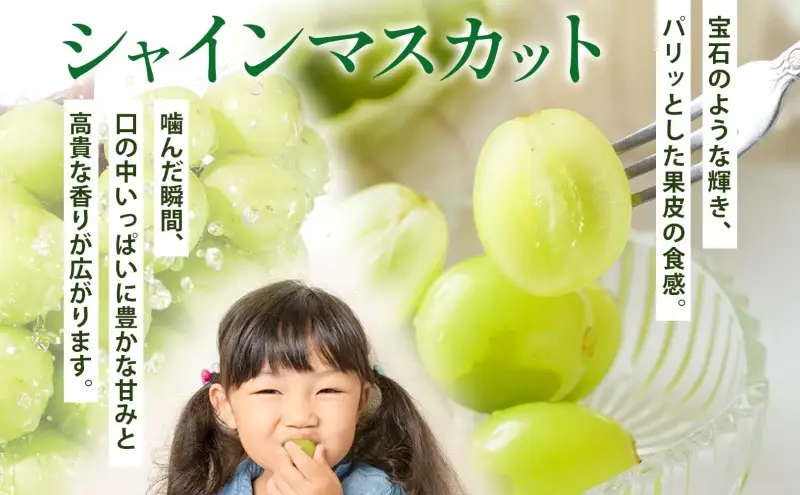 シャインマスカットぶどう青森県産秀品シャインマスカット【1房約600g】