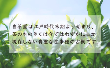 楠森堂 実生在来茶3種 (特上煎茶80g)・(特上ほうじ茶30g)・(上煎茶80g) セット 計190g お茶 茶 お茶の葉 茶葉 煎茶 緑茶 ほうじ茶 焙じ茶 焙茶 福岡県 うきは市