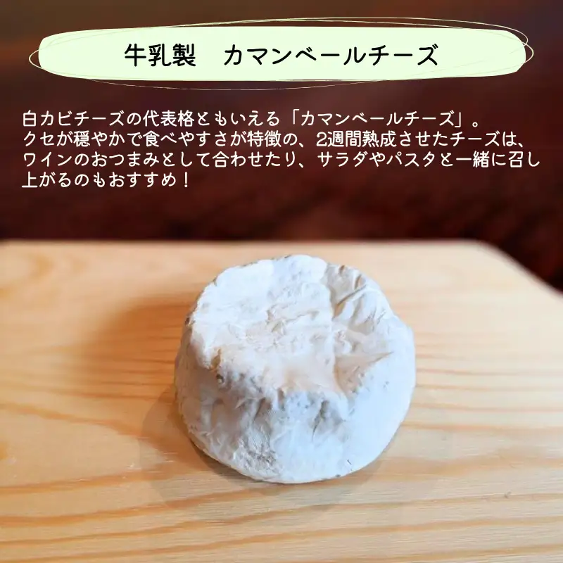 【11月～3月限定・牛乳使用】カマンベールチーズ 約100g×3パック
