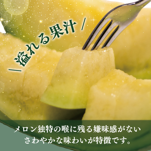 【先行予約】南張 メロン １玉 1.3kg 以上 令和9年4月発送 数量限定 (三重県志摩市)