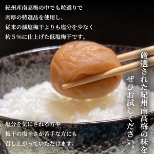 特選紀州南高梅「白梅の里」ほのか　600ｇ_SF2005