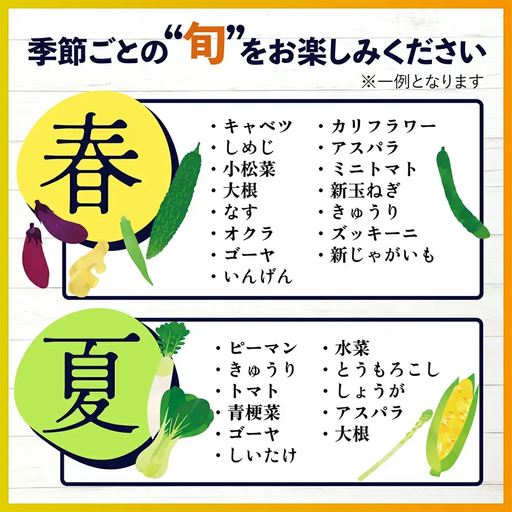  【６ヶ月定期便】旬のおまかせ 野菜BOX 野菜定期便 旬の野菜 詰合せ 野菜 新鮮 野菜 8～10品目E-72