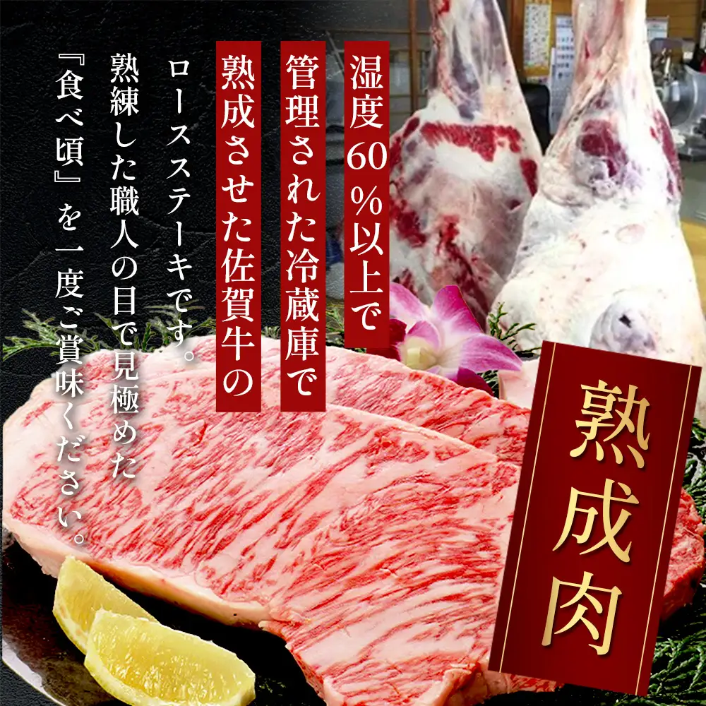 【熟成肉『ステーキ満喫』コース  佐賀牛  ロースステーキ ２５０ｇ×１０枚  V-7