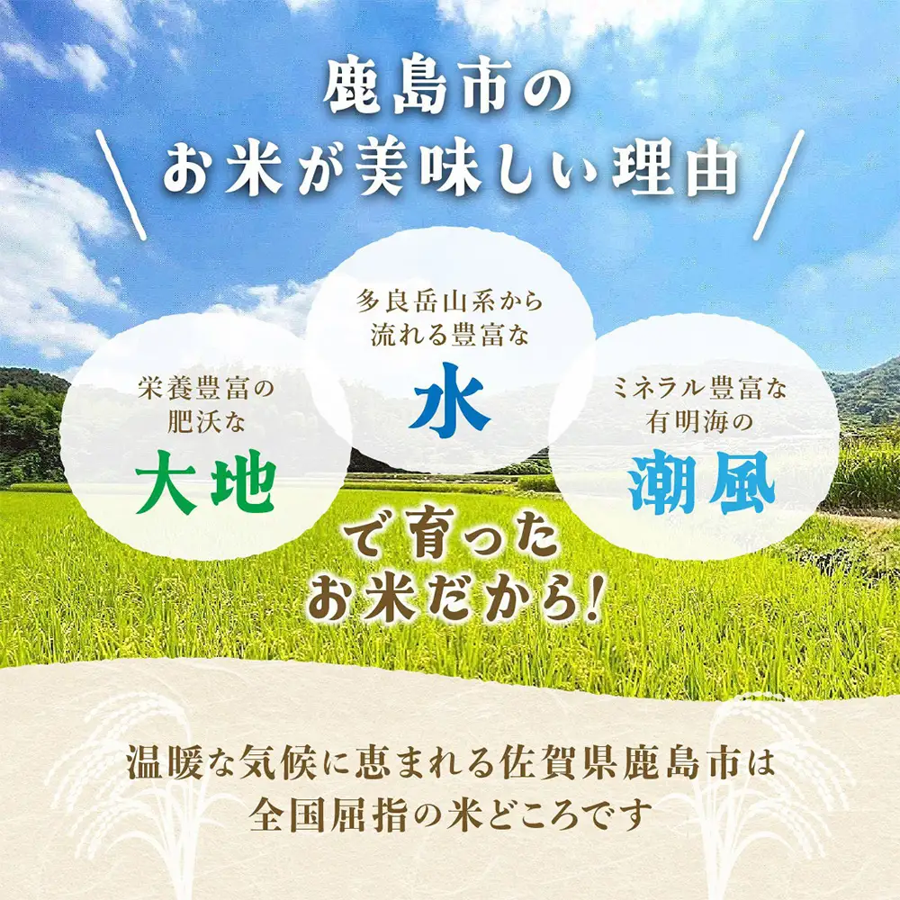  佐賀県産 さがびより 夢しずく 白米 20kg （10kg × 2種）お米マイスター厳選 D-34 令和7年産