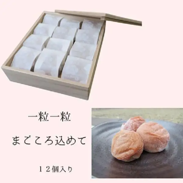 まごころ梅 白干し 塩分20％ 5Lサイズ 個包装 １２個入り