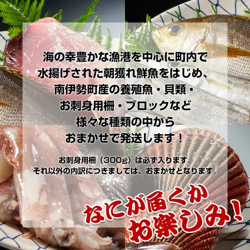 冷蔵 漁協直送 3～5種 朝獲れ鮮魚セット 鮮魚