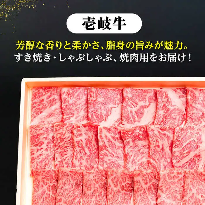 【全6回定期便】《A4〜A5ランク》壱岐牛と旬の野菜定期便 [JBO078] 《A4〜A5ランク》肉 黒毛和牛