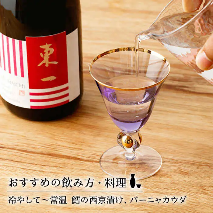 日本酒 東一 日本酒飲み比べ2種 NBQ001 