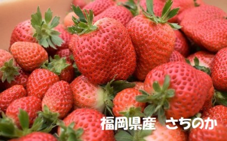 【2027年1月発送開始】いちご2種食べ比べセット「あまおう」「さちのか」各2パック計1,160g★あんずの里[H0073]