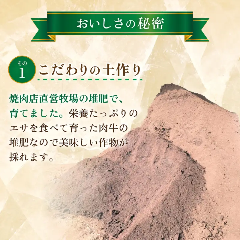 【先行予約】ペルルメロン 1玉（約2kg以上）青肉品種 高級メロン！ ／ マスクメロン 大玉 果物 フルーツ ギフト 農家直送 ※2027年6月下旬以降順次発送 [aw065-a006]