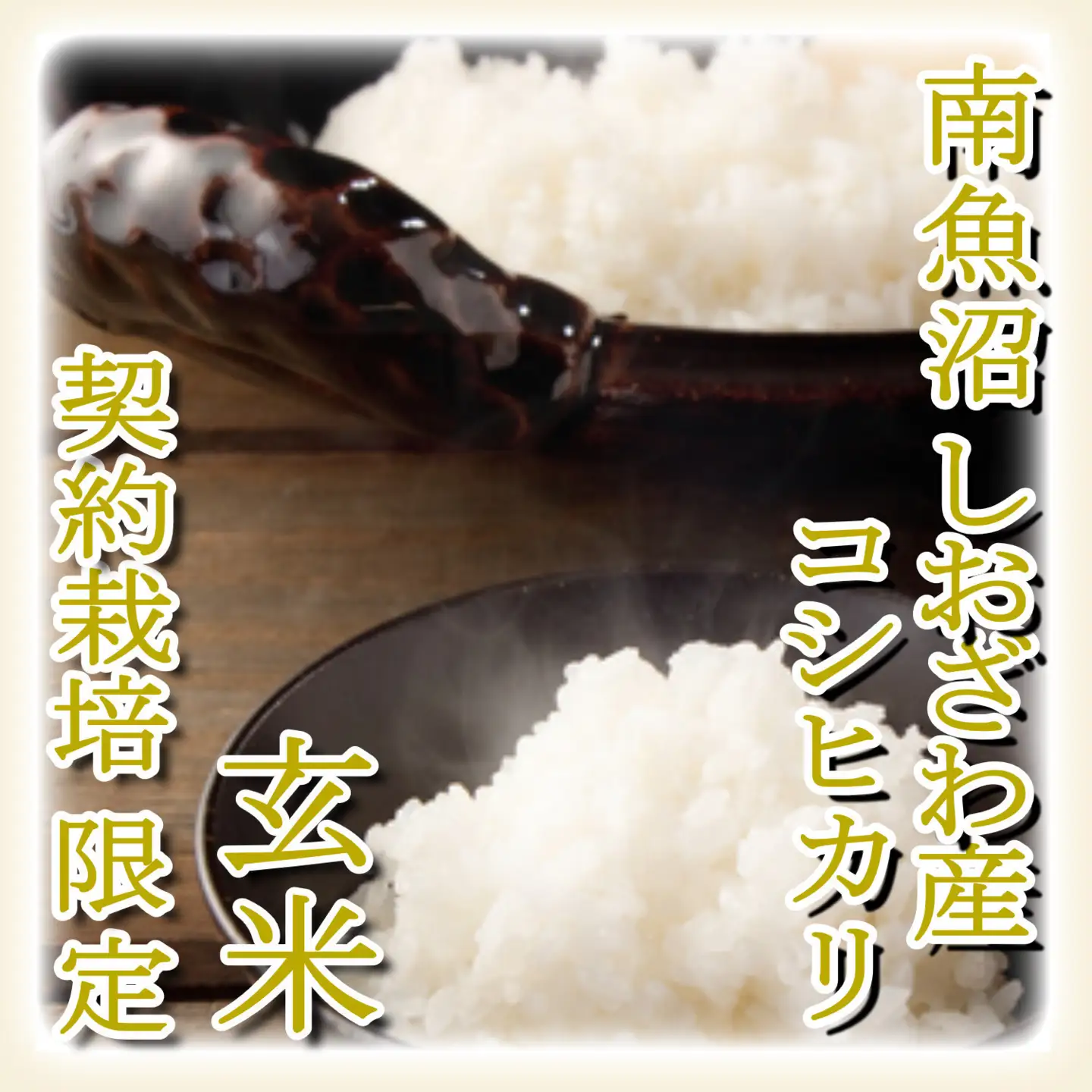 【令和7年産】【定期便10Kg×6ヶ月】●玄米● 生産者限定 南魚沼しおざわ産コシヒカリ【定期便 銘柄米 ブランド米 玄米 こしひかり コシヒカリ 魚沼産 新潟米 産地直送 お米 米 こめ コメ ご飯 御飯 ごはん】