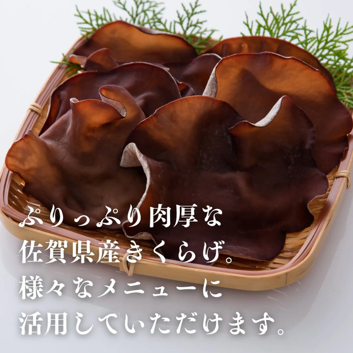 きくらげ 佐賀県産乾燥きくらげ 2袋：A085-003