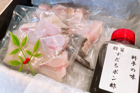 幻の天然物 クエ鍋セット 1kg ＜12月からお届け＞ クエ くえ 魚介類 魚貝類 鍋セット ご当地グルメ 海鮮 ポン酢 宴 クリスマス 【087_1746】