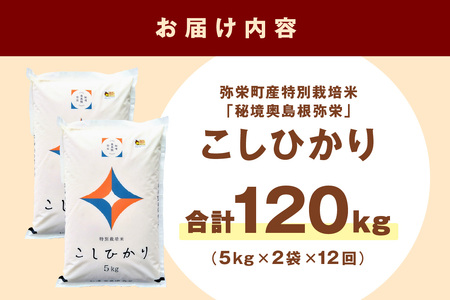 【定期便】【令和7年産】弥栄町産特別栽培米「秘境奥島根弥栄」こしひかり10kg（12回コース） 米 お米 こしひかり 特別栽培米 精米 白米 ごはん 定期 定期便 12回 お取り寄せ 特産 新生活【090_1880】