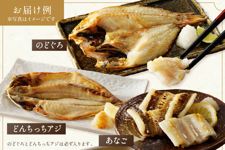 浜田港水揚げ魚の薄塩味干物B（のどぐろを含む） 魚介類 魚貝類 薄塩味 干物 干もの 一夜干し セット 人気 お取り寄せ 【019_1946】