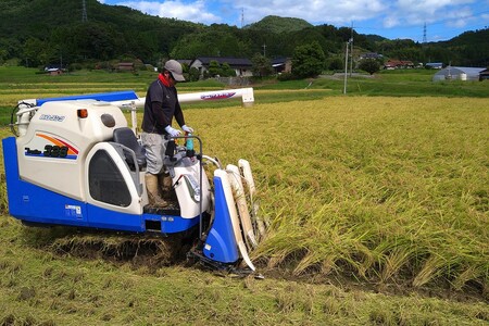【令和7年産】【定期便】浜田市弥栄町産「秘境奥島根弥栄」つや姫5割減（5kg×6回コース）【090_1867】