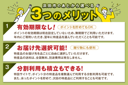 【あとから選べる】寄附1000円相当 島根県浜田市 あとから 【140_1538】