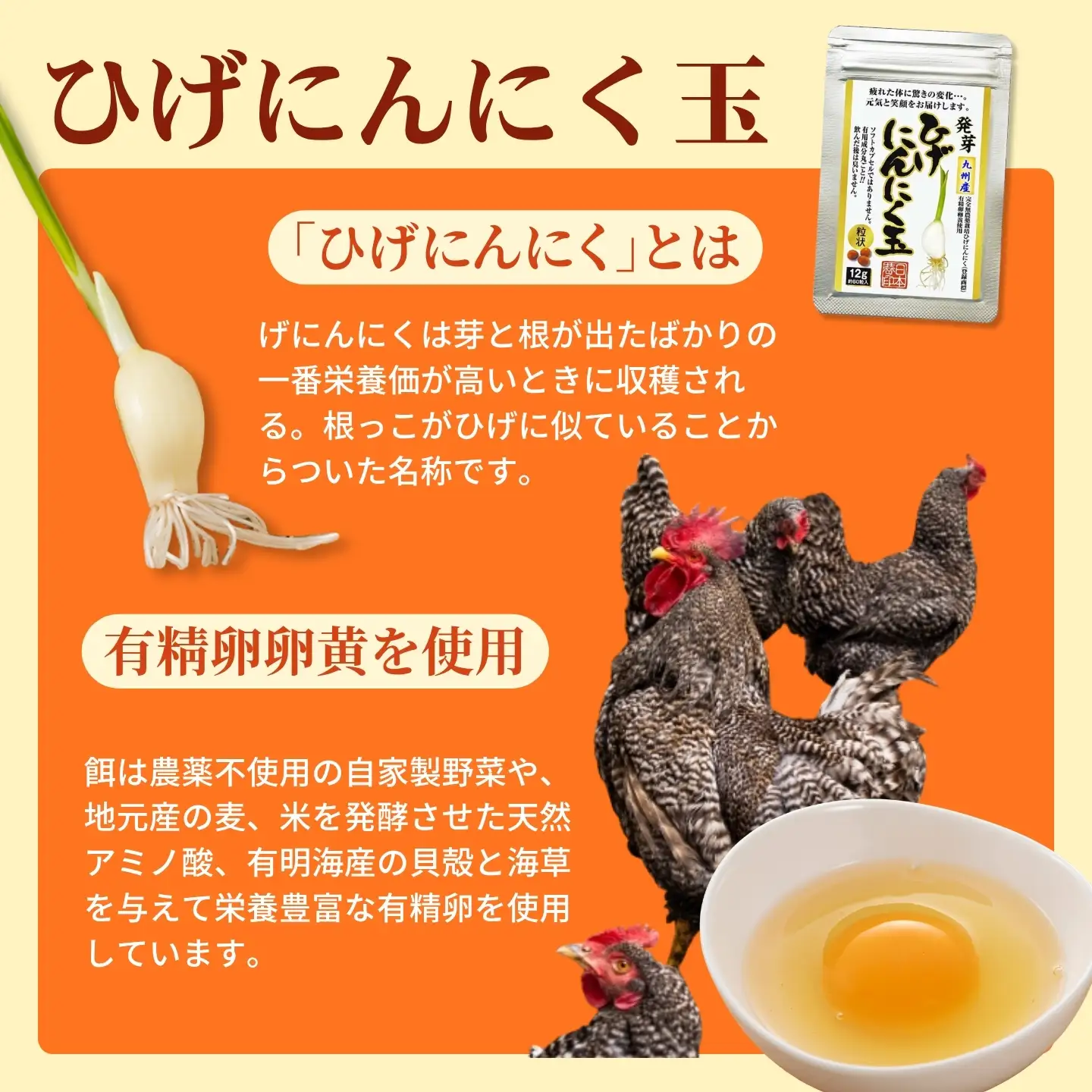 【普通郵便配送】昔ながらの手作りひげにんにく玉2袋セット：B115-037