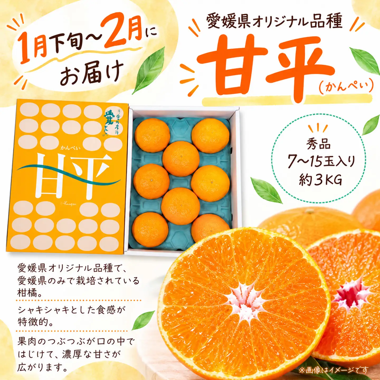 【12月開始】かんきつ定期便（全4回）【紅まどんな 甘平 アンコール デコポン】まどんな