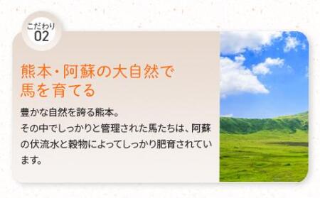 馬かぁホルモン焼 10個セット 約1kg 馬肉 熊本馬肉 馬肉ホルモン おつまみホルモン 冷凍ホルモン 馬ホルモン 大人気ホルモン 美味しいホルモン ホルモン ご家庭ホルモン 熊本馬肉ホルモン 人気ホルモン 絶品ホルモン 約100g×10 真空 小分け パック 031-0497