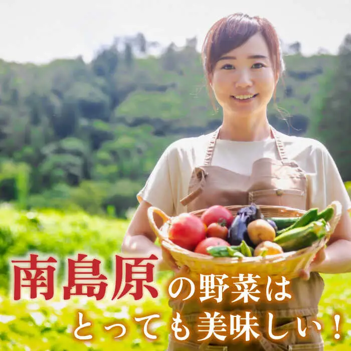 季節の野菜 15種類 セット 旬 産地直送 詰め合わせ / 野菜 やさい 新鮮 野菜セット / 南島原市 / ふるさと企画 [SBA023]
