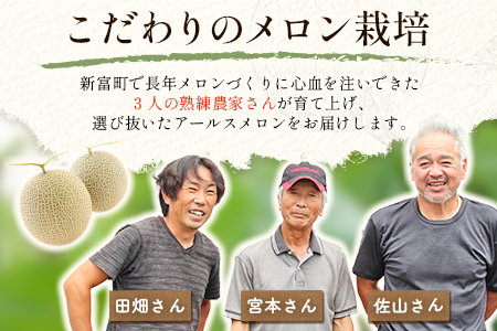 2027年5月～7月出荷 大玉 プレミアムアールスメロン 4L1玉 1.9kg以上 B578-02
