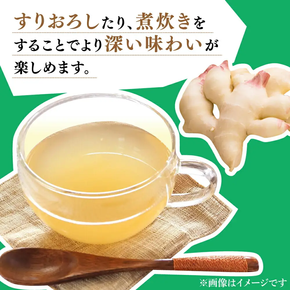 【2026年8月?発送】新生姜 約4kg / ショウガ しょうが 生姜 / 南島原市 / ふくはちファーム/福島農園 [SBS018]