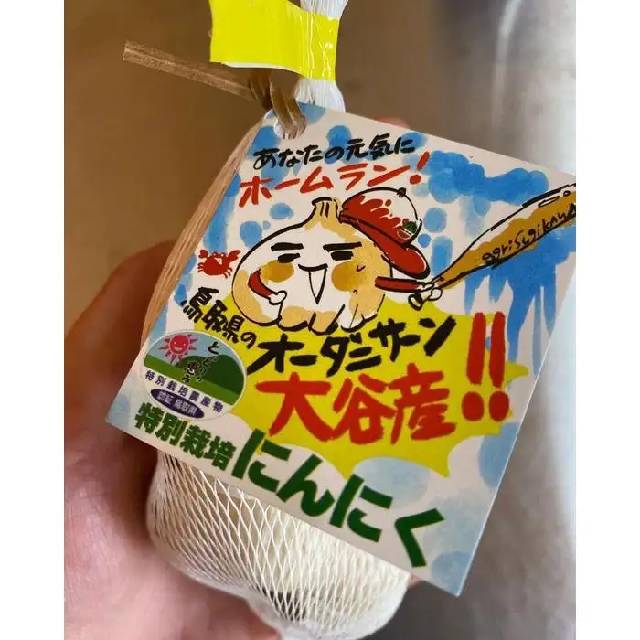 スイカ農家のフル～ティ黒にんにく 元気のたねこ大袋 自然食品 美容  健康  鳥取県産 「鳥取県特別栽培農産物」認証の自社生産ホワイト六片とジャンボにんにくを使用※着日指定不可 ※2026年7月中旬～2027年2月下旬頃に順次発送予定