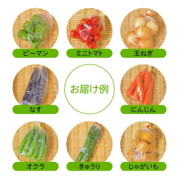 【6回定期便】直売所より発送！季節の野菜セット 7?10品目 / 野菜定期便 / ながさき南部生産組合 [SBW004]