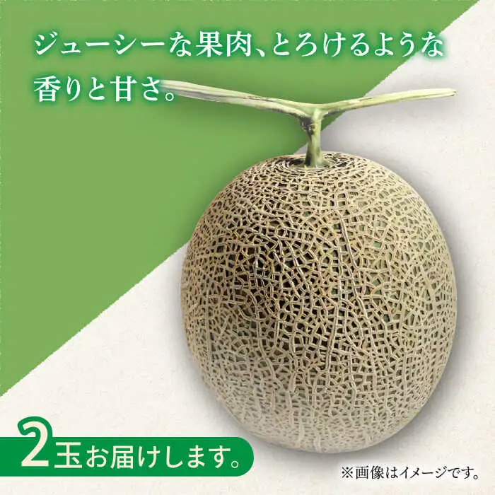 【2026年11月中旬-発送】アールス メロン (2玉) / メロン めろん メロン めろん メロン 青肉 果物 フルーツ / 南島原市 / JA島原雲仙東南部基幹センター [SAC004]