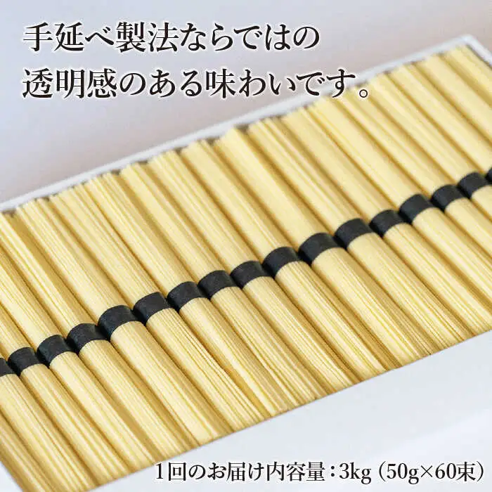 【定期便 12回】手延べパスタ 3kg （50g×60束）パスタ / 池田製麺工房 [SDA019]