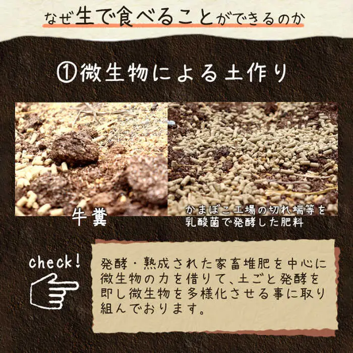 【2027年8月-発送】スイートアスパラ L-3L 約 1kg 贅沢宝庫 [SDZ015] アスパラ