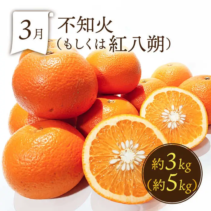 【6回定期便 奇数月コース】フルーツ 定期便 [SDZ021]