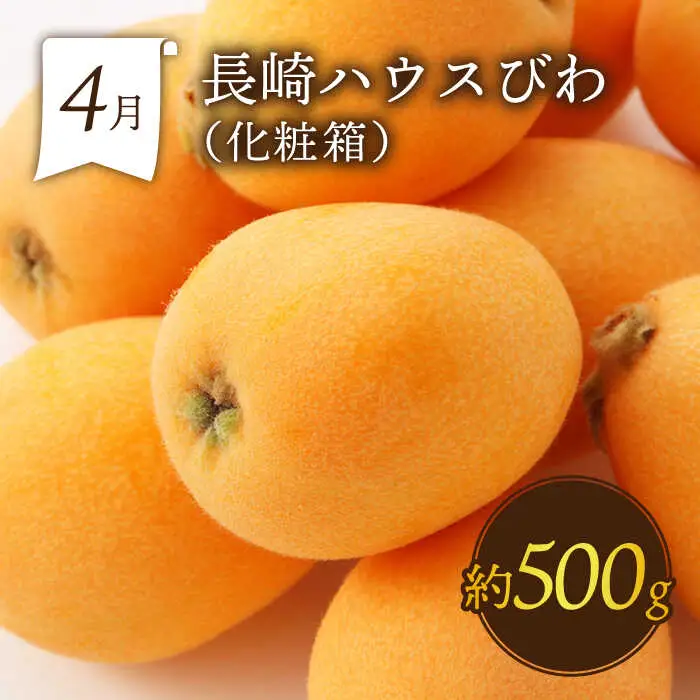 【6回】フルーツ定期便 旬のフルーツ [SDZ022]