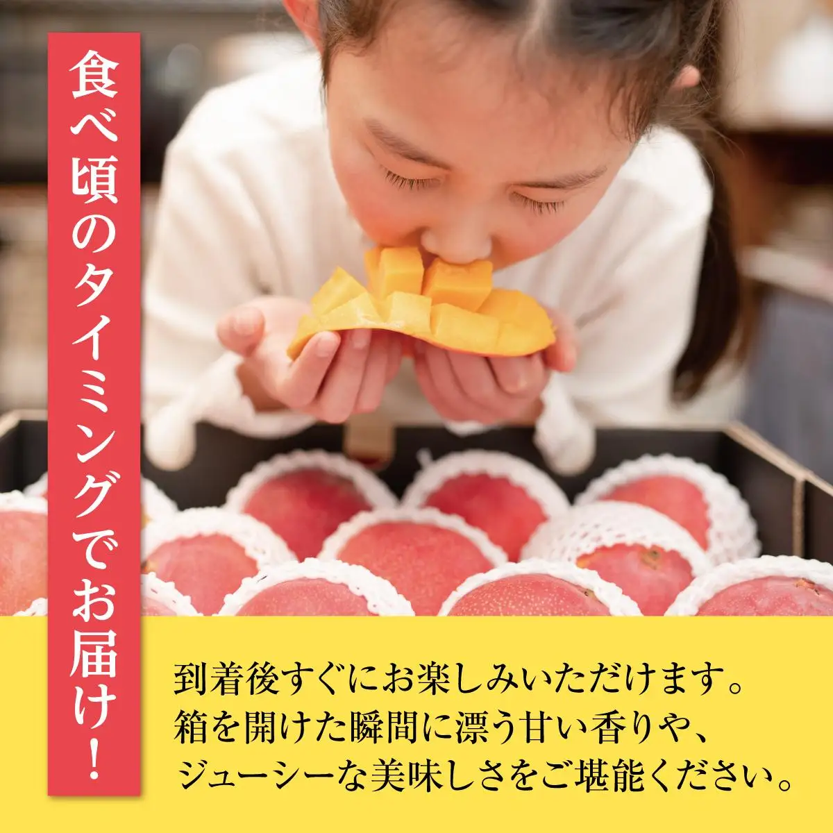 ★先行予約【2027年発送】＜優品＞完熟アップルマンゴー約1.5kg（化粧箱）3～6玉 