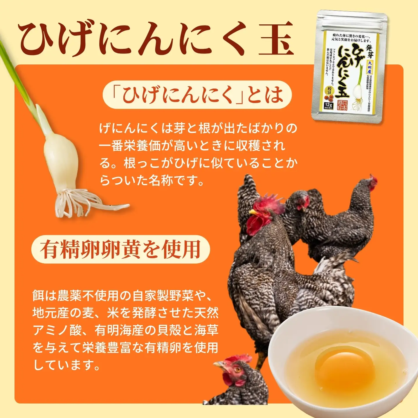 【普通郵便配送】佐賀の手作りひげにんにく卵黄３袋セット：B215-017