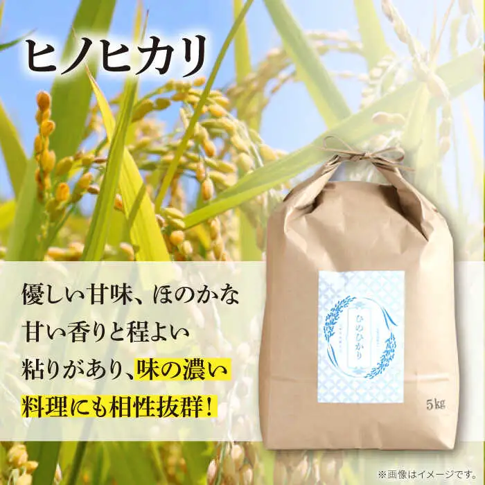 ヒノヒカリ 5kg×12回 定期便 / ひのひかり 米 お米 こめ コメ 精米 / 南島原市 / 林田米穀店 [SCO003]