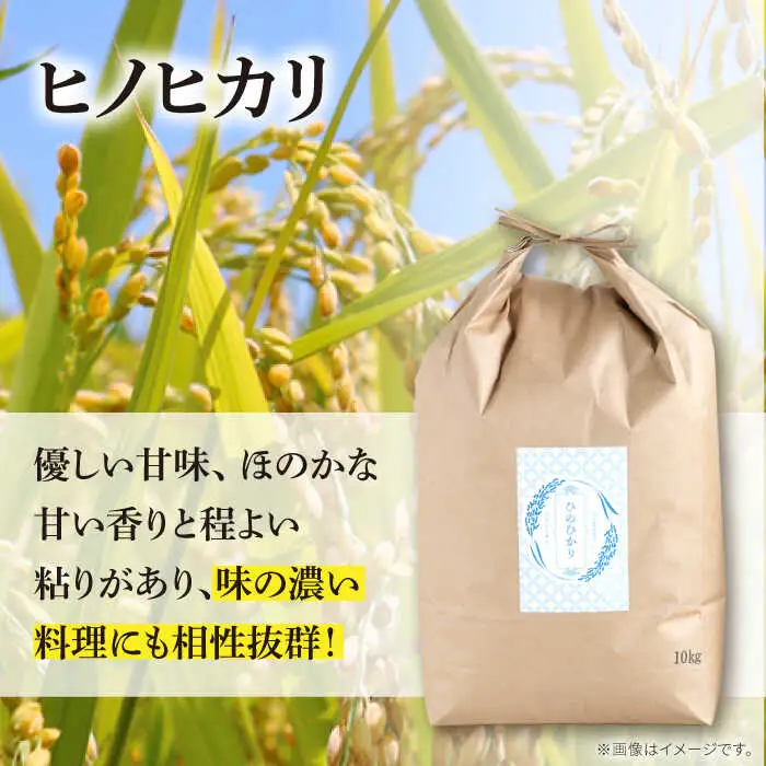 【2か月毎定期便】ヒノヒカリ 10kg×6回 定期便 / ひのひかり 米 お米 こめ コメ 精米 / 南島原市 / 林田米穀店 [SCO005]