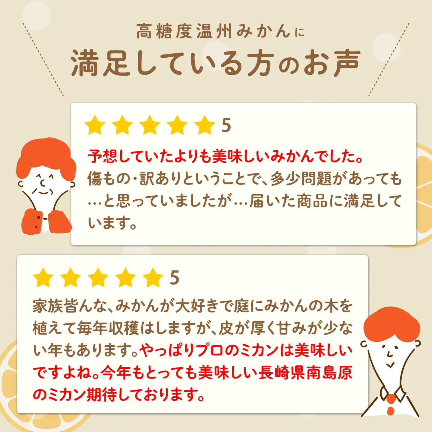【2026年12月-発送】【2回定期便】温州みかん約10kg（傷もの）計約20kg みかん / 南島原果物屋 [SCV016]