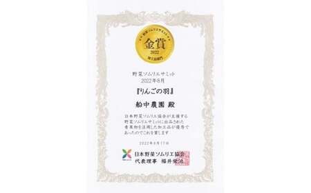【野菜ソムリエサミット金賞受賞】 りんごの羽（無添加・ノンフライりんごチップス） 3袋 & 完熟りんご100％ジュース 4本詰合せ 『船中農園』 山形県 南陽市 [1460]