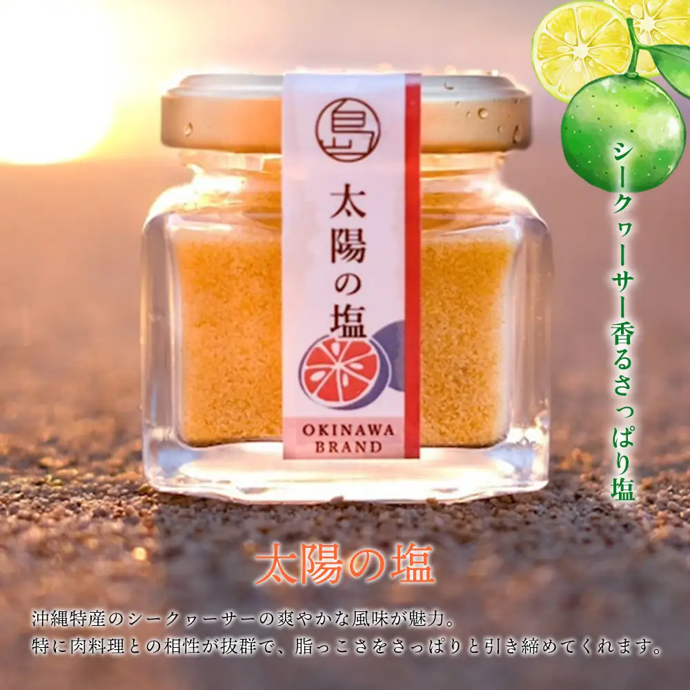 南の島恵み農園 南の島恵み塩4種セット 160g(40g×4個) 