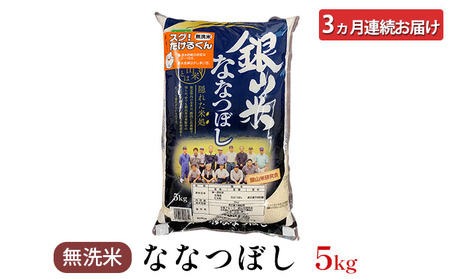 3ヵ月定期便 北海道産ななつぼし 5kg 無洗米 ななつぼし