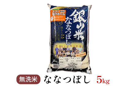 北海道産ななつぼし 5kg 無洗米 ななつぼし