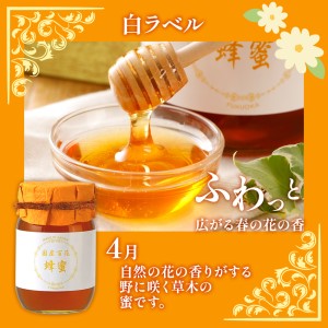国産蜂蜜ギフト 500g×2本 はちみつ　CD02-1