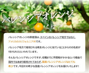 【2027年先行予約】希少な 国産 バレンシアオレンジ 2.5kg 秀品_G7078