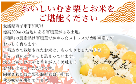 【先行予約】＜愛媛県西予市産 栗ご飯セット（むき栗 150g×3袋・コシヒカリ 2kg）＞ 国産 くり 和栗 米 栗ごはん 混ぜご飯 秋の味覚 愛媛県 西予市 【冷蔵】『2026年10月上旬～10月下旬迄に順次出荷予定』UUB0021