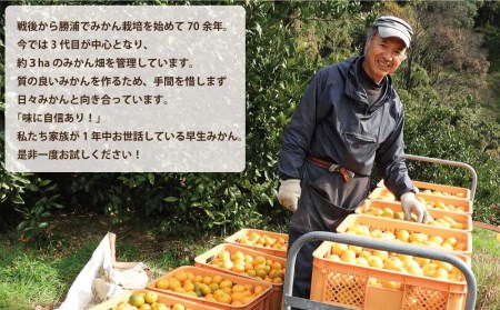 長田農園 早生みかん 秀品 LLサイズ 9kg
